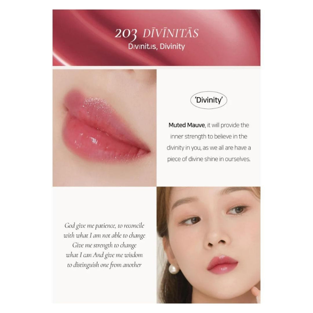 Dinto Blur-Glowy Lip Tint 3.5g - 203/205