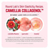 Round Lab Camellia Deep Collagen Firming Cream