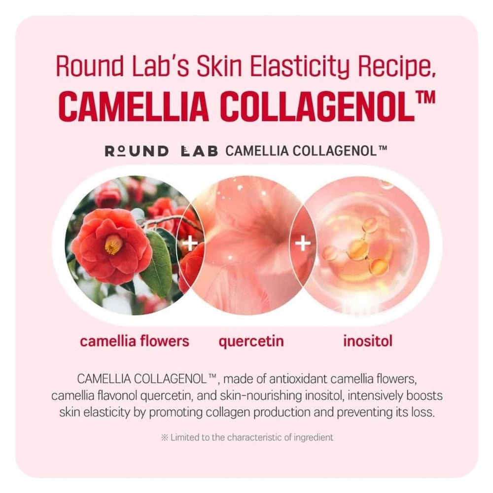 Round Lab Camellia Deep Collagen Firming Cream