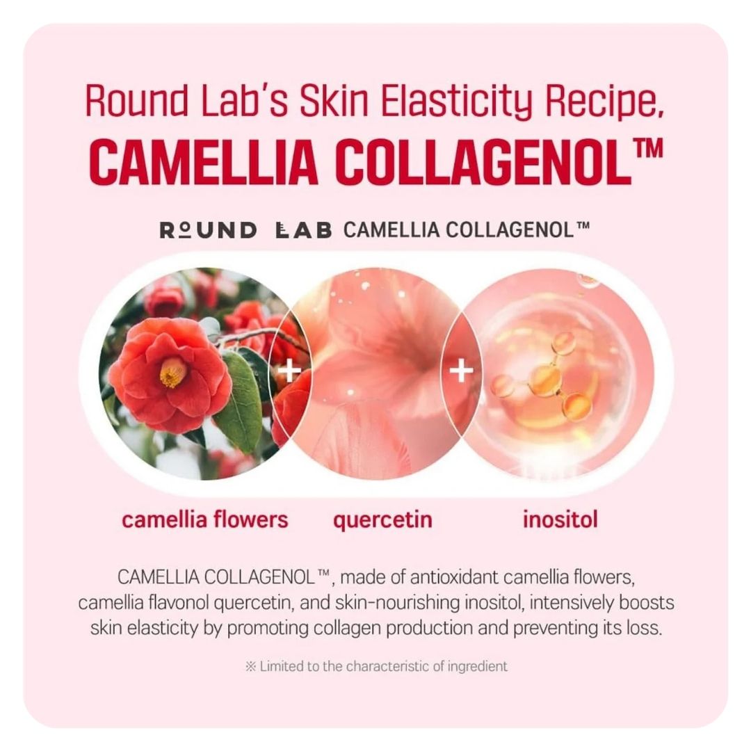 Round Lab Camellia Deep Collagen Firming Cream