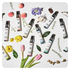 W.Dressroom Dress & Living Clear Parfume Set - 10x30ml